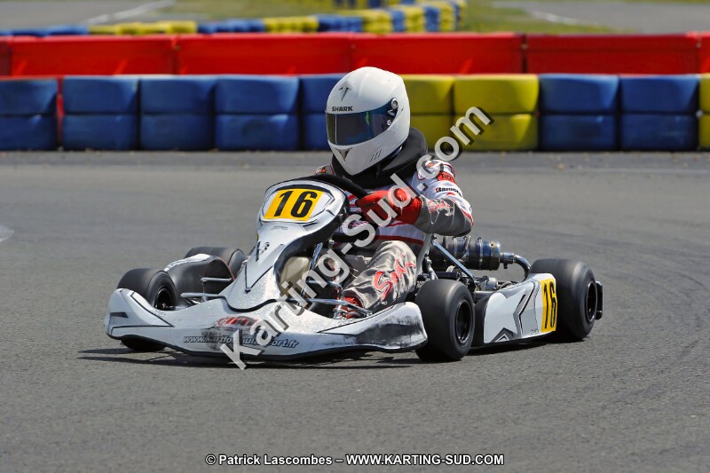 DSC_ (1573).jpg